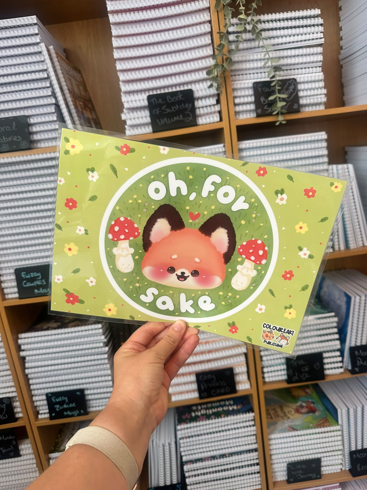 ColourEAK! A4 Page Protector - Not a book!!